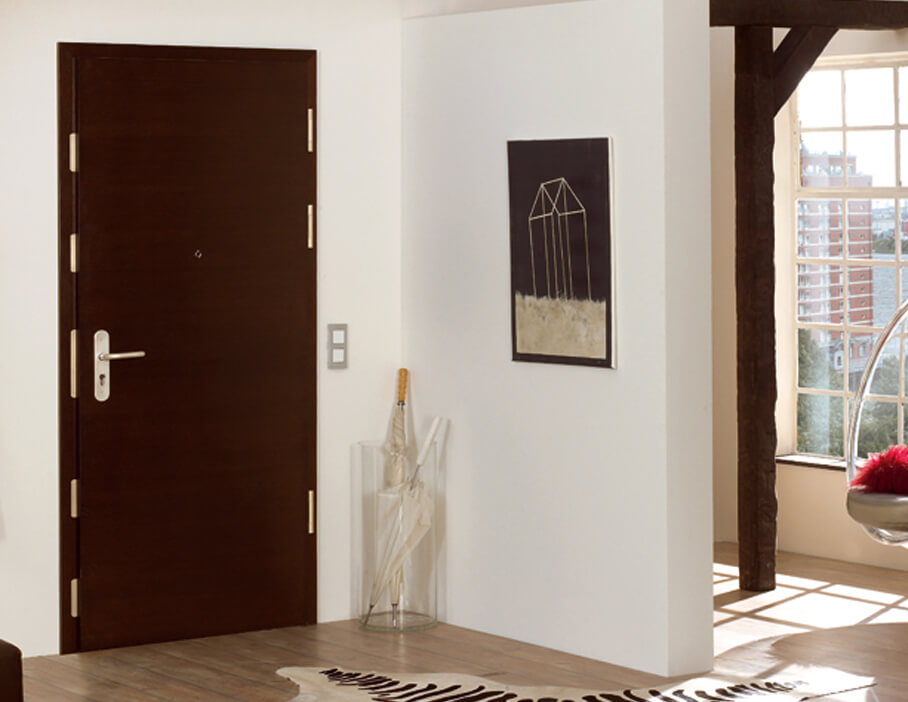 Security Entrance Doors for Flats